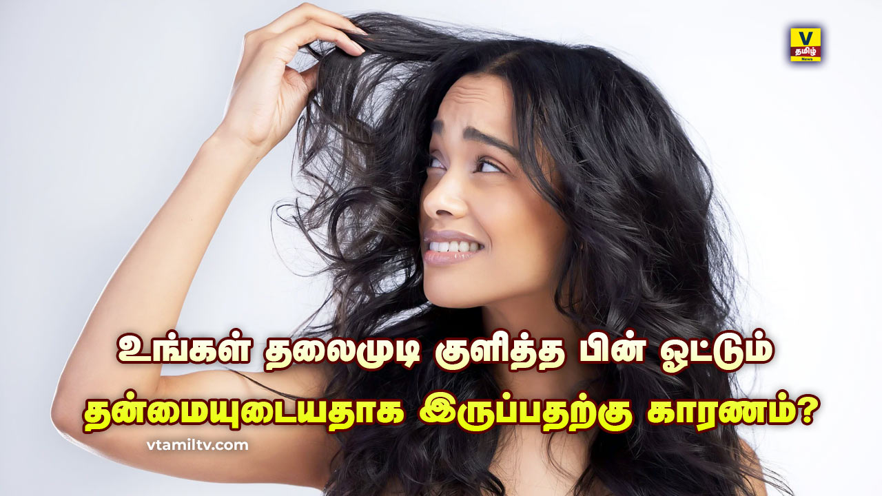 vtamilnews frizzy hair tips