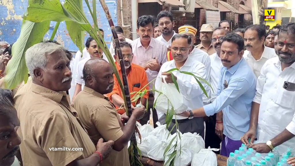 Pongal Festival in Mayiladuthurai Municipality