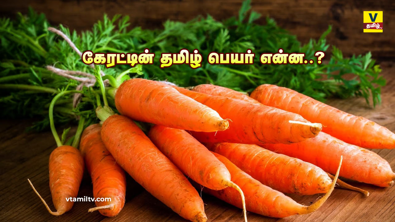 Carrot Tamil Peyar