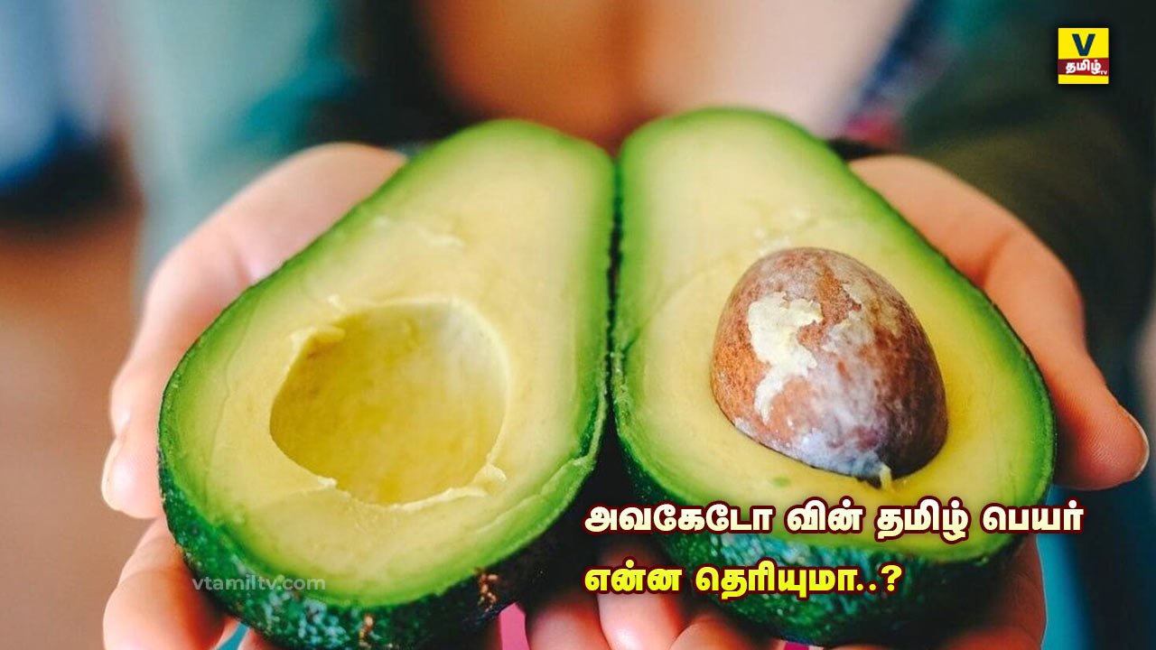 Avocado in Tamil Name