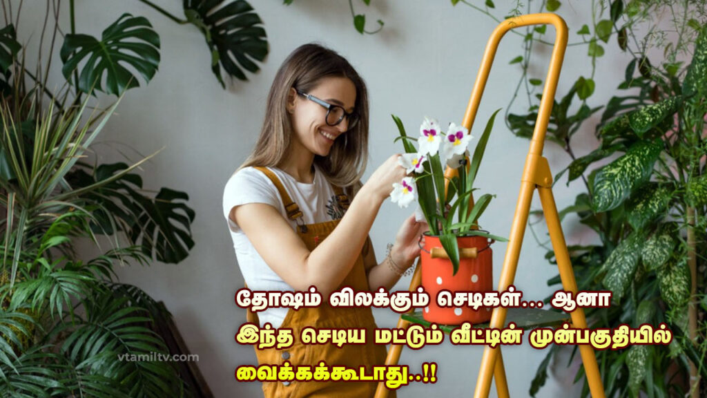 Vastu Tips for Plants and Trees in Tamil